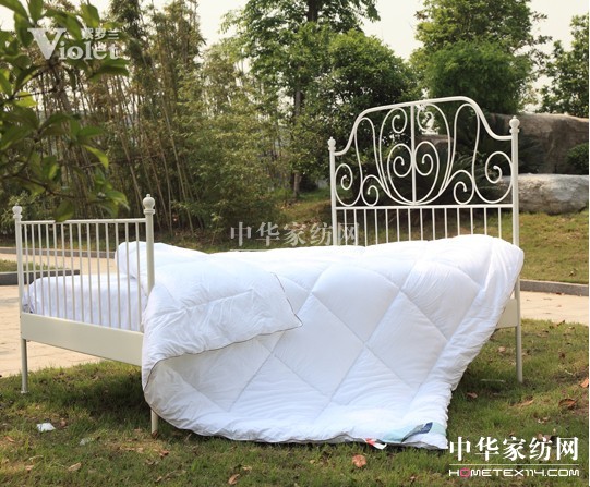 風(fēng)雨征程紫羅蘭與你相伴永遠(yuǎn)