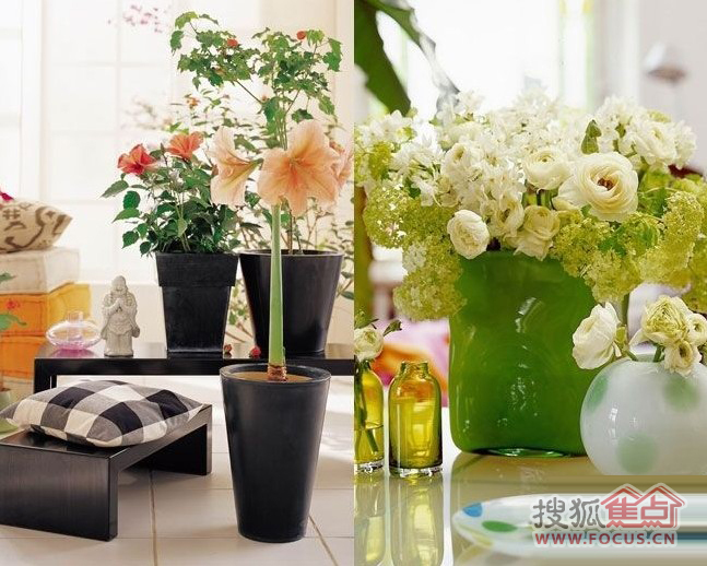 清新飾家以綠色為主題的家居