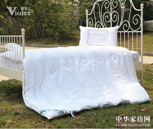 冬日有伴 紫羅蘭溫暖人心