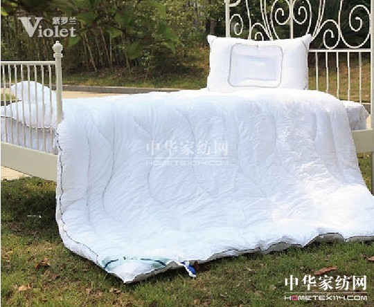 冬日有伴紫羅蘭溫暖人心