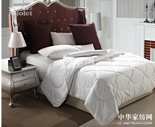 溫暖生命的紫羅蘭