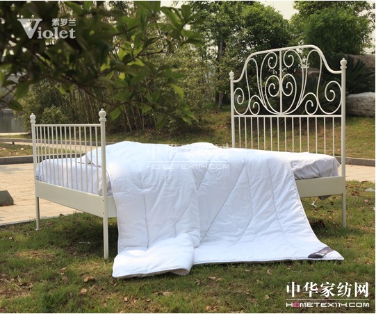 溫暖生命的紫羅蘭