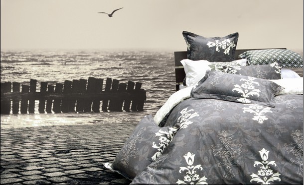 埃迪蒙托向全國大力發展加盟