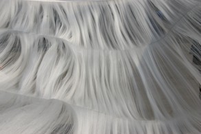 金蠶世家受邀出席世界養(yǎng)生大會(huì)