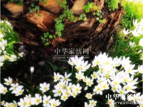 寶縵家紡:科學防護驅(qū)逐霧霾