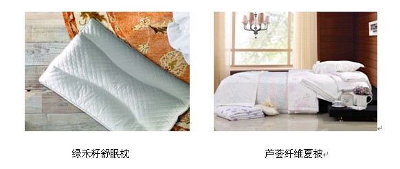 澳丹奴家紡綠色環保新概念