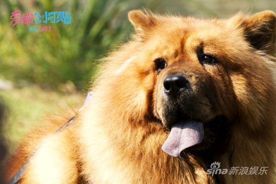 ���۵Ą����N�����������������ȸ߸���