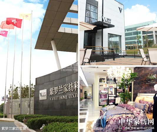 紫羅蘭 提醒創業者需慎重而行