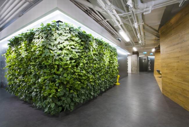 Badoo莫斯科辦公室