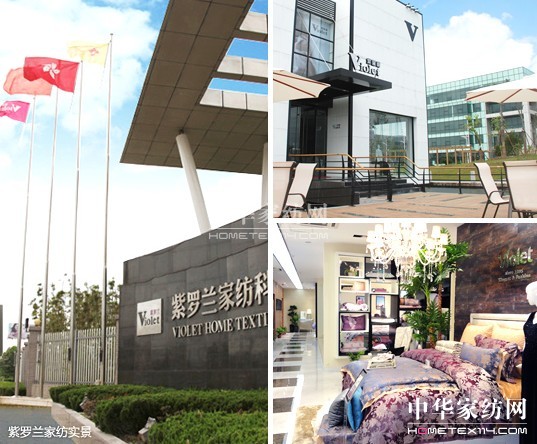 紫羅蘭營銷策略 助你制勝終端