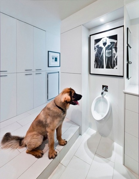 空間設計感加拿大白色公寓