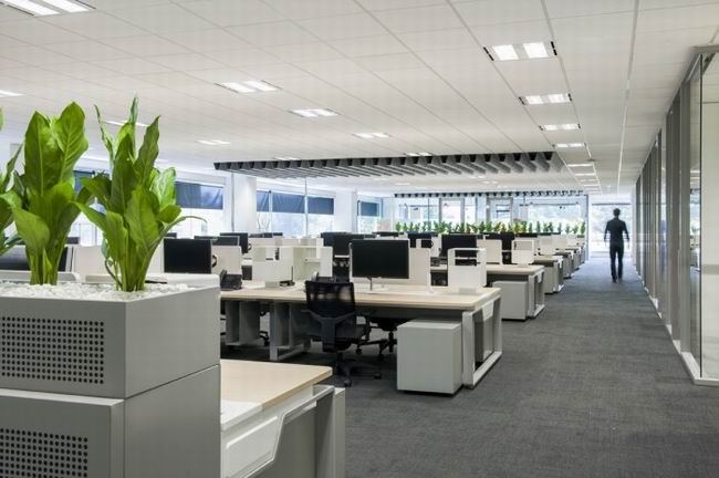 墨爾本一家辦公室