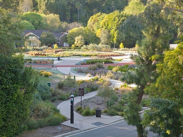 奢華亦優雅比佛利山莊的泳池大宅