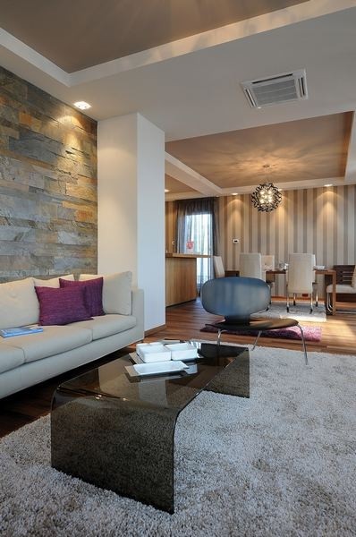 摩登與實用性塞爾維亞公寓