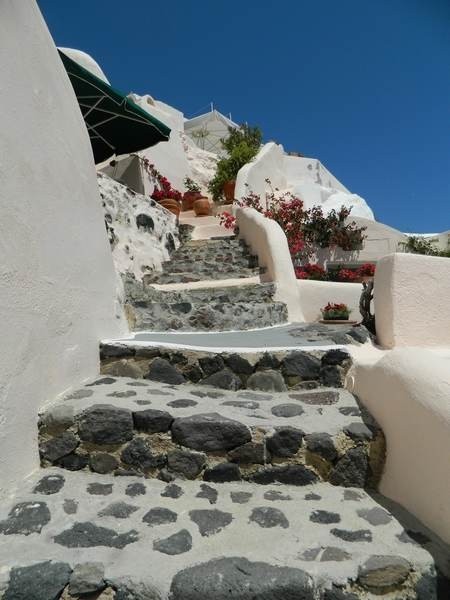 ʥ������������ȼپƵ��OӋ