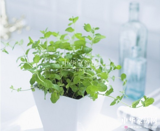 紫羅蘭家紡夏日小貼士