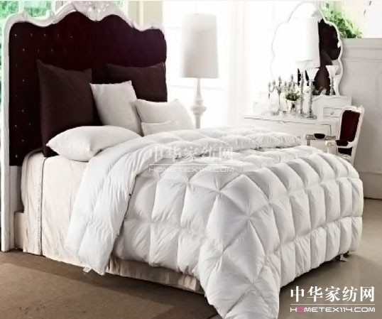 紫羅蘭:解析幾款常見冬被