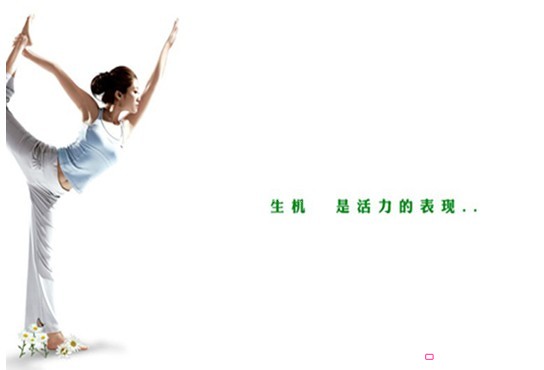 紫羅蘭:生機生活  時尚健康