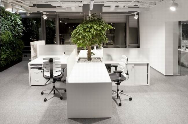 博士倫波蘭華沙辦公室