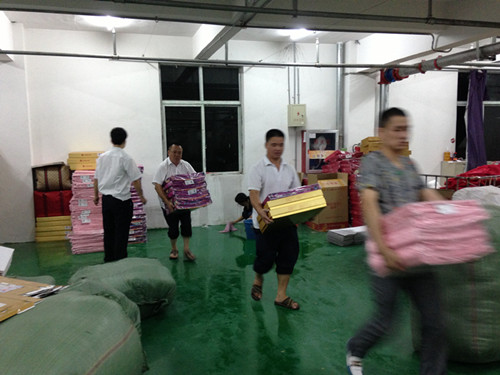 “菲特”臺風登陸蒼南盛宇抗臺救災搶險