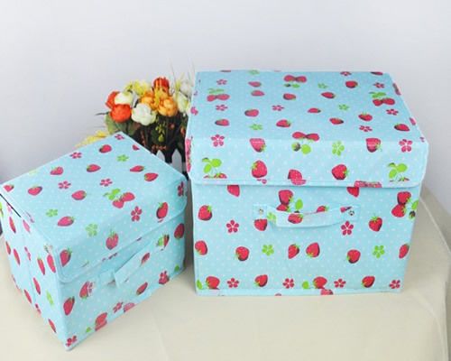 ��ݮ��Ʒ�������ۼ�