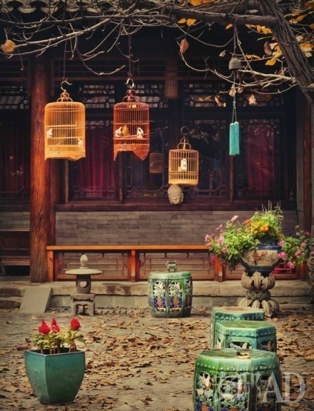 �����ĺ�Ժ֮��