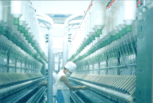 棉紡織行業經歷陣痛期未來仍被看好