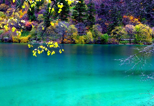 中國(guó)家紡協(xié)會(huì)赴四川彭州調(diào)研