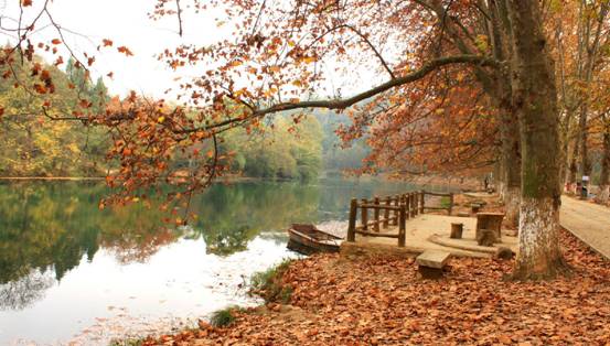 杉杉家紡:這個秋天,與你們在一起