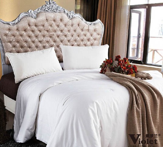 紫羅蘭:關(guān)于蠶絲被的那點事兒