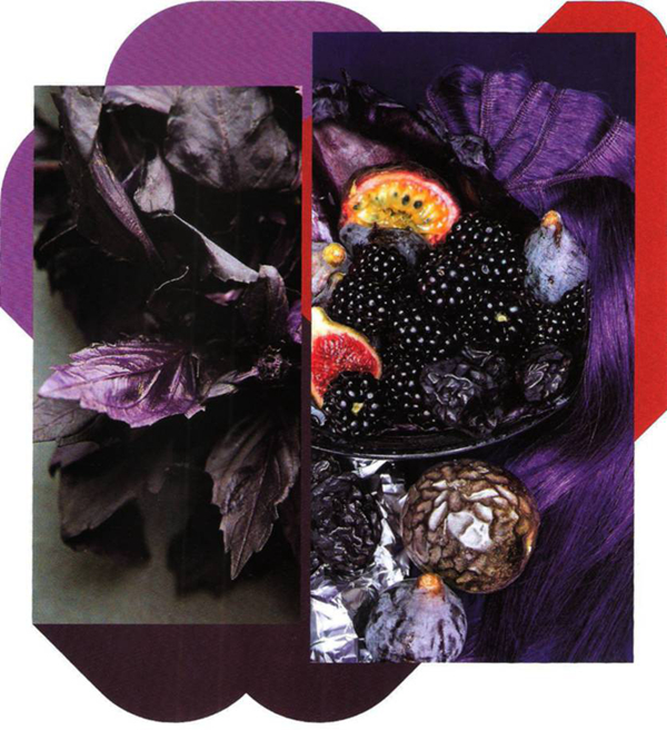 2015/16面料秋冬趨勢(國際館)