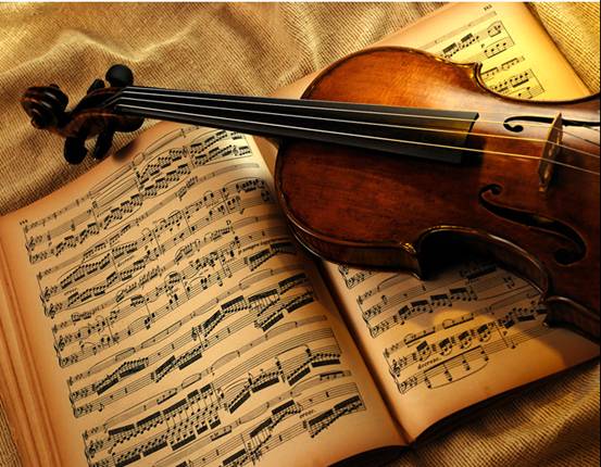 赫彼娜窗簾布藝:聽見家里的聲音