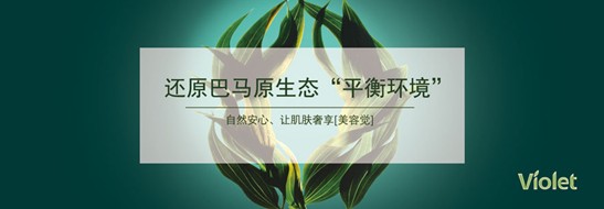 紫羅蘭家紡:凈入睡眠,可以睡的益生菌