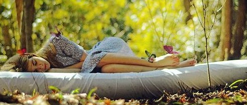 紫羅蘭家紡常識,不疊被子螨蟲就會死光光?