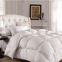 惠誼5-13-2菠蘿包鵝絨被