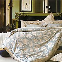 ���ذ�ɯ �{(l��n)�� ����