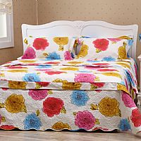 �nʽ���w������          