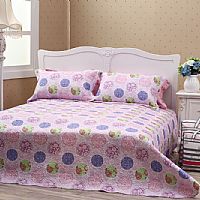 �nʽ���w������          