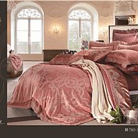 T560-紀梵希(紅咖色)t