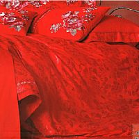 佳人有約-大紅