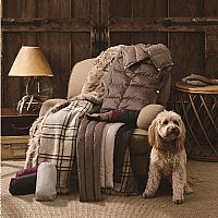 ��q̺���ć���