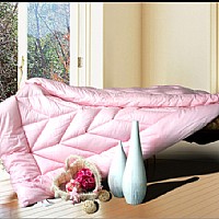 ����ʮ�ױ�