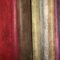 ��Ƥ��Ƥ�q