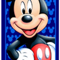 超細纖維印花毛巾浴巾