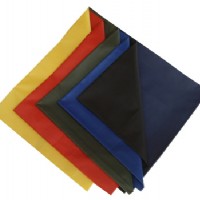 滌塔夫190T PU/涂層